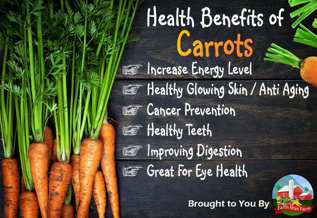 Health Benefits Of Carrots - Earth Man Farm